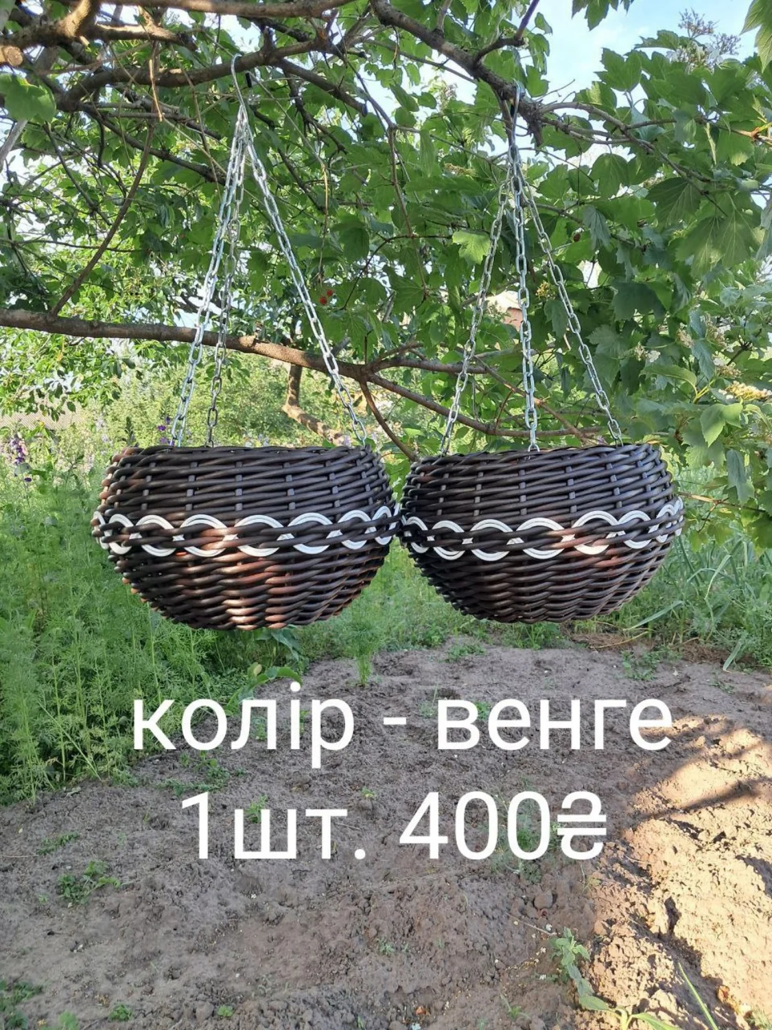 Колір венге
